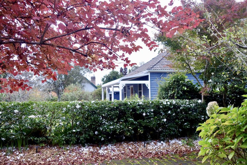 Poet'S Cottage - Fireplace, Close To Treks Wentworth Falls Exterior foto